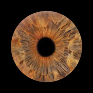 Iris art à Trois-Rivières